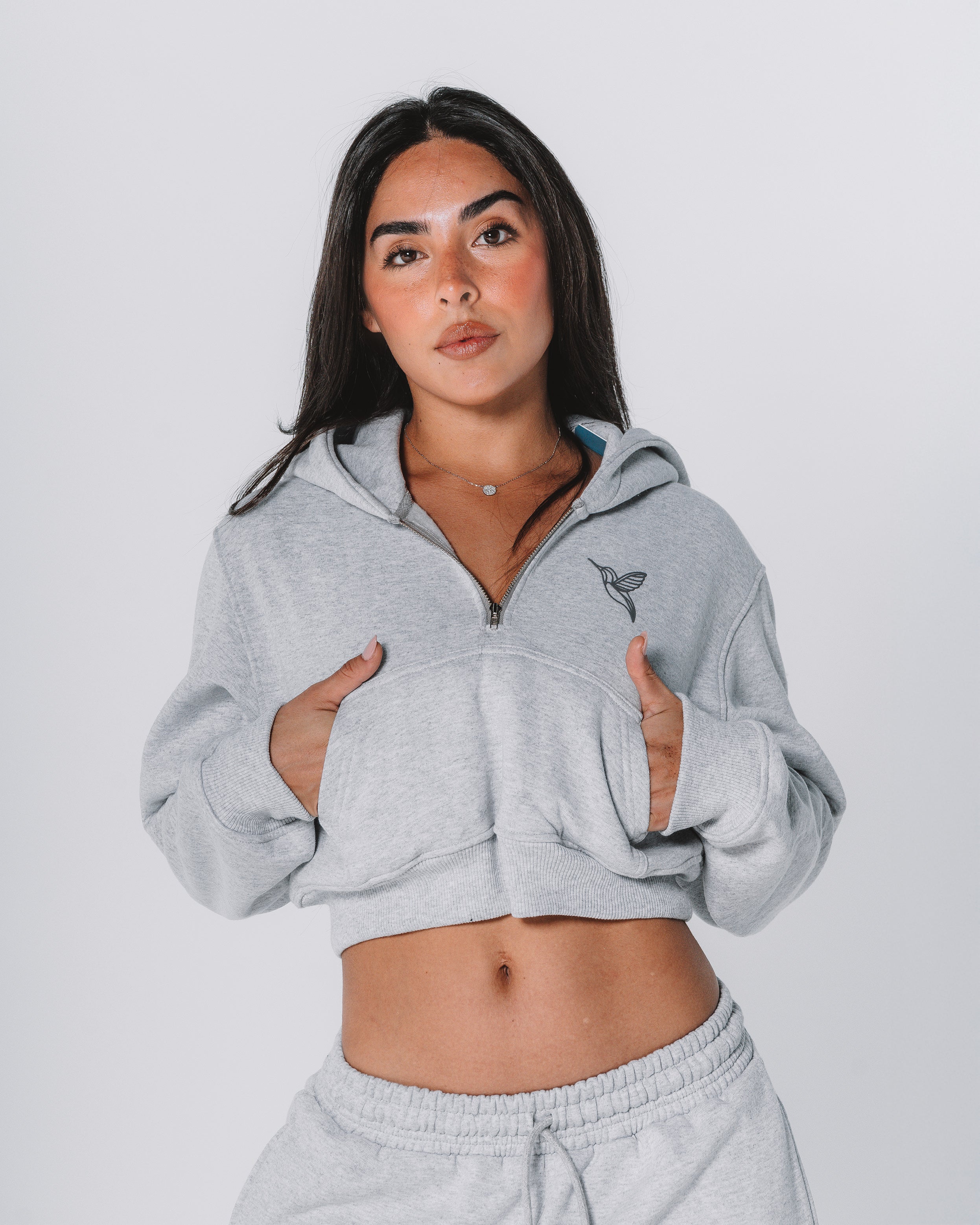 Ocean half-zip Hoodie / Gray