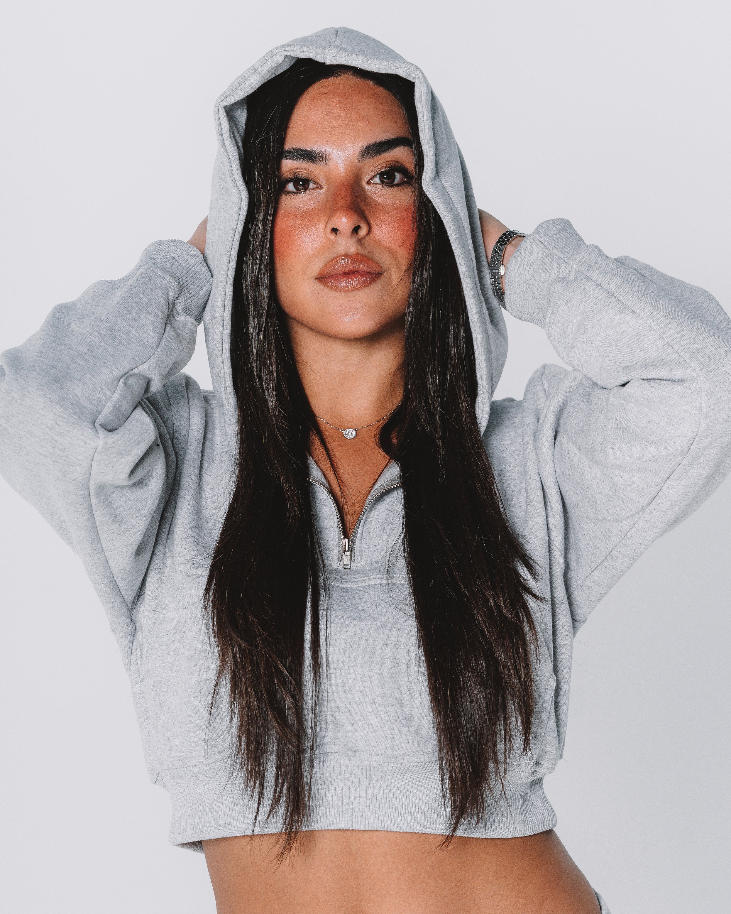 Ocean half-zip Hoodie / Gray