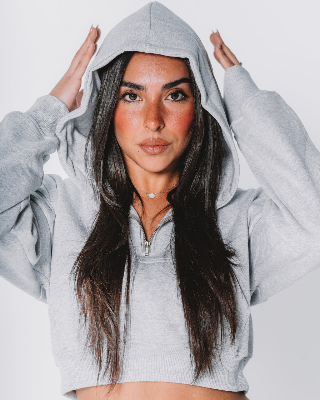 Ocean half-zip Hoodie / Gray
