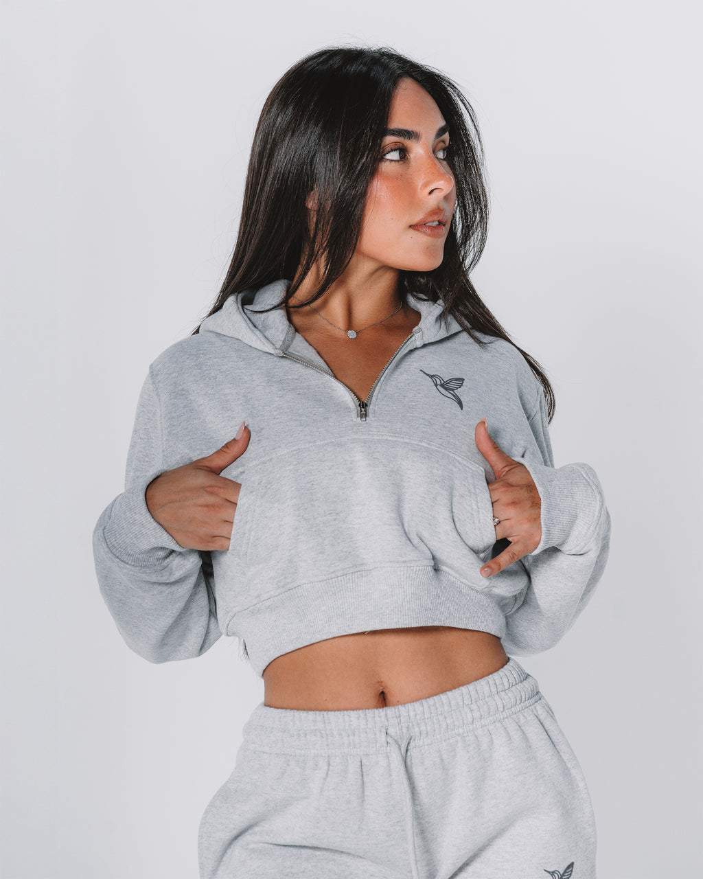 Ocean half-zip Hoodie / Gray