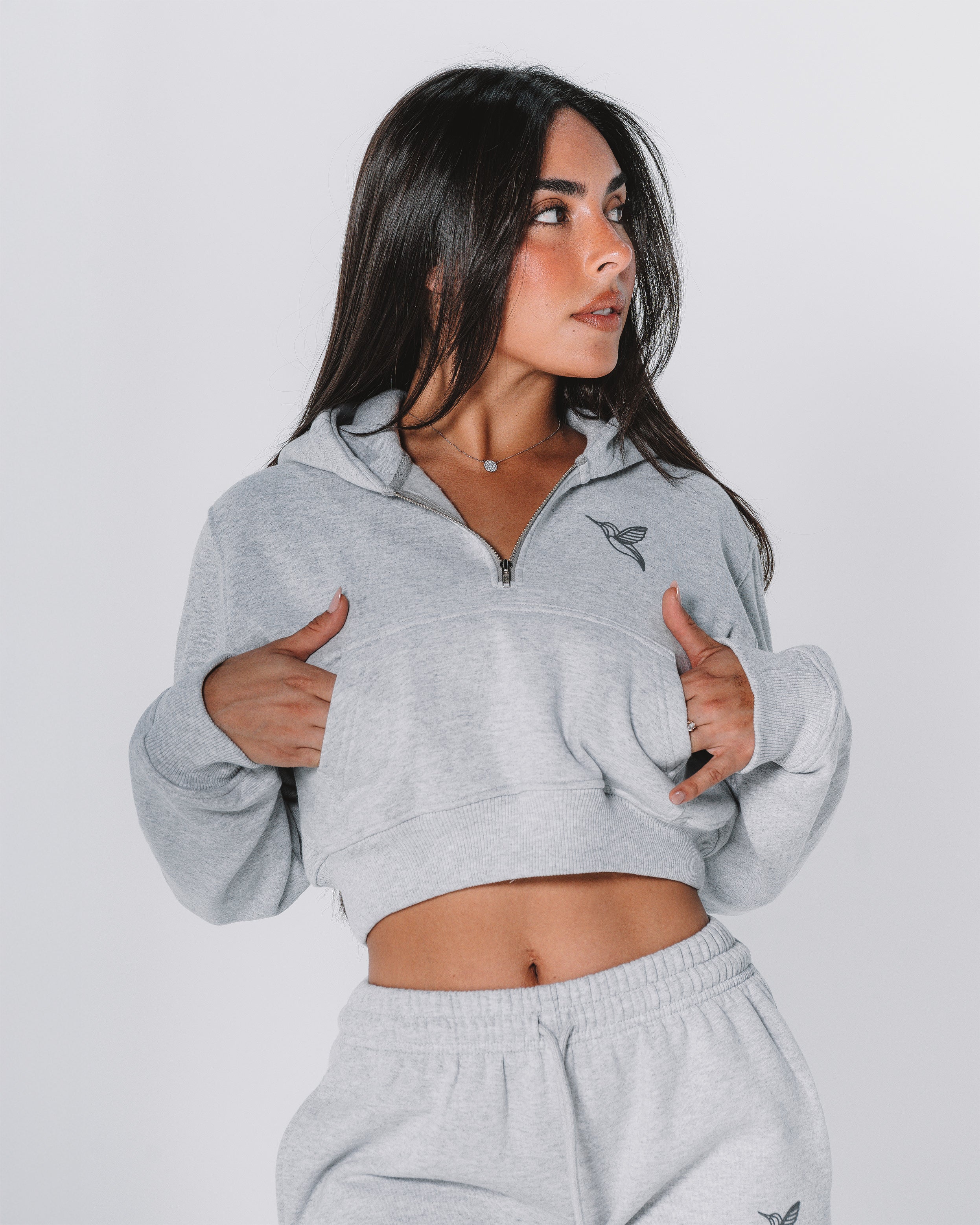 Ocean half-zip Hoodie / Gray