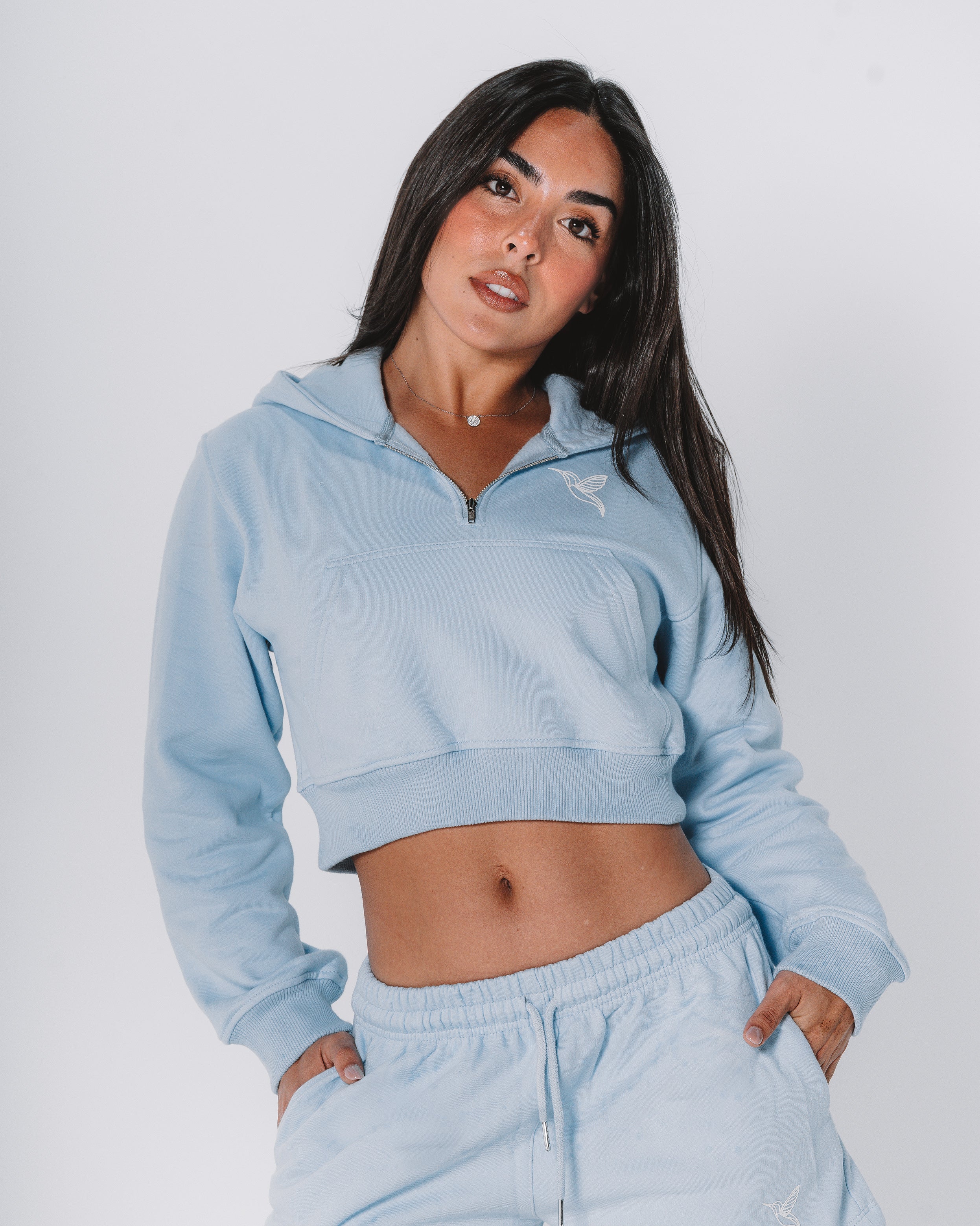 Ocean half-zip Hoodie / skyblue