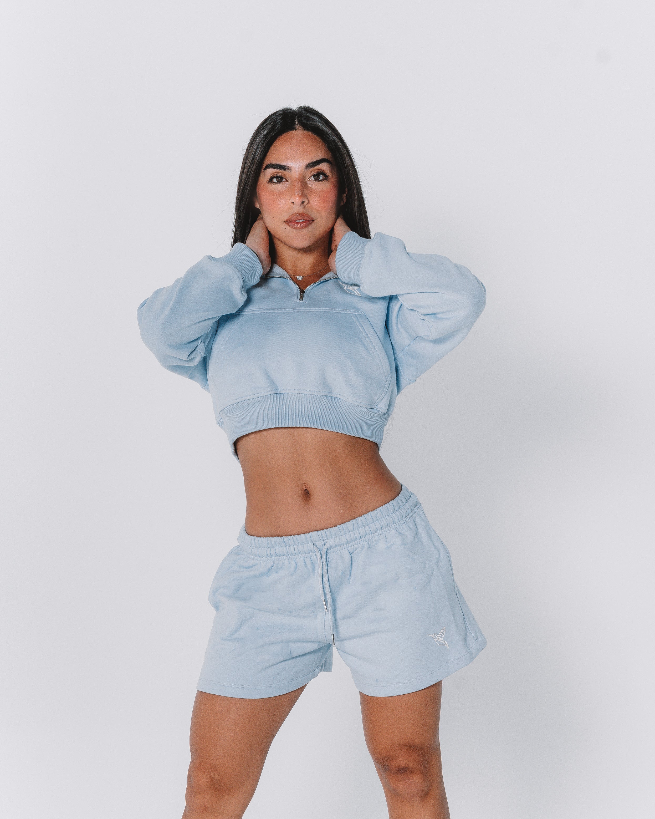 Ocean half-zip Hoodie / skyblue